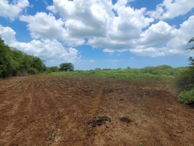 Finca 100 MNZ en Venta en La Trinidad, Diriamba.