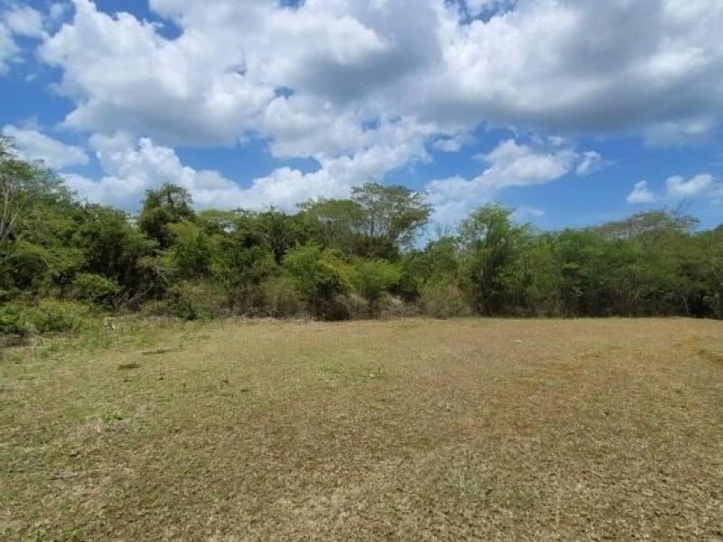 Finca 100 MNZ en Venta en La Trinidad, Diriamba.
