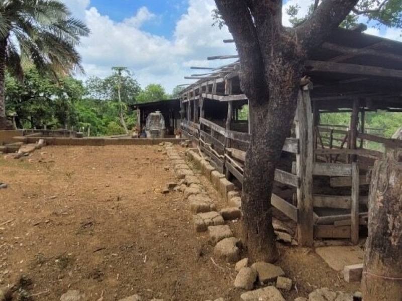 Finca 100 MNZ en Venta en La Trinidad, Diriamba.