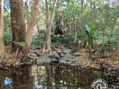 Venta de Finca en San Francisco Libre