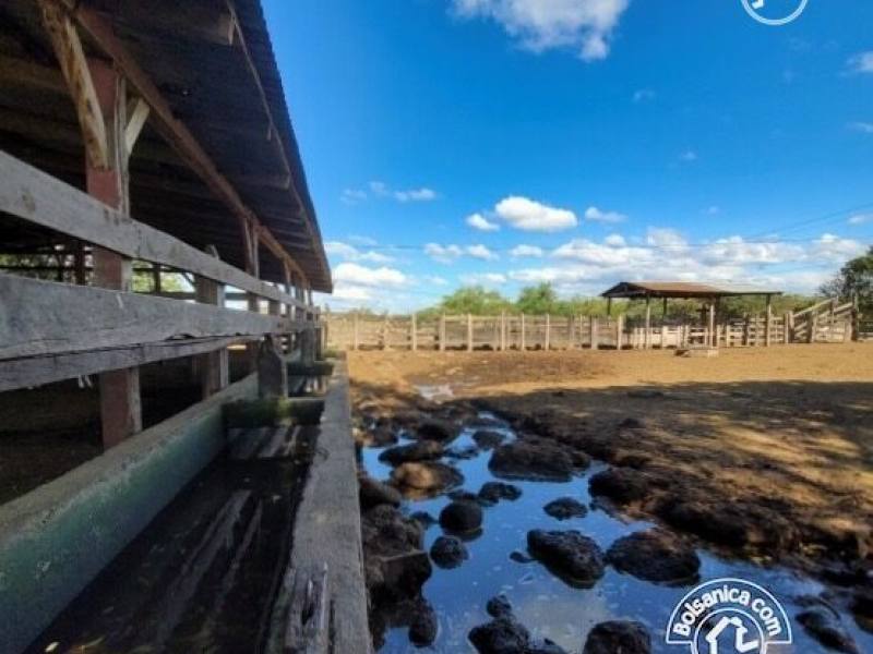 Venta de finca ganadera y agrícola en San Francisco Libre