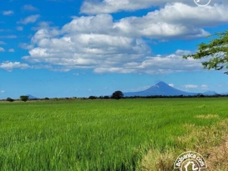 Venta de finca ganadera y agrícola en San Francisco Libre