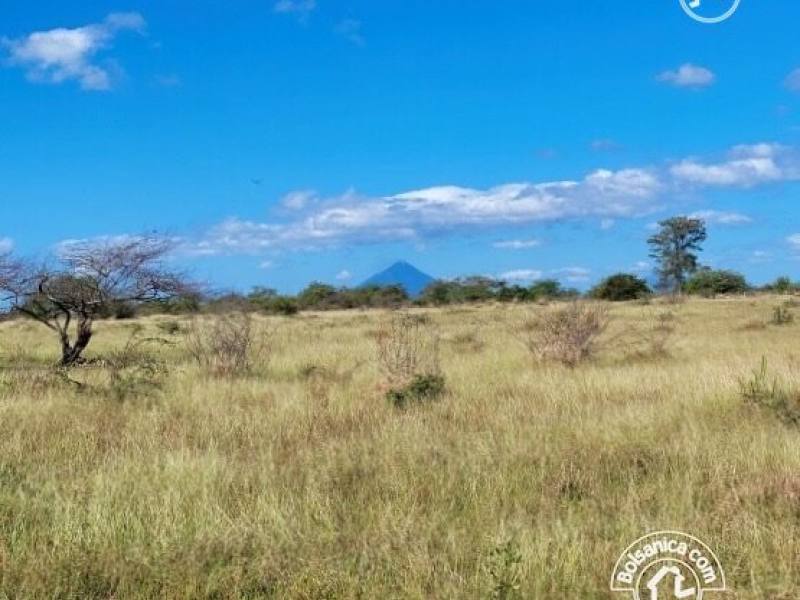 Venta de finca ganadera y agrícola en San Francisco Libre