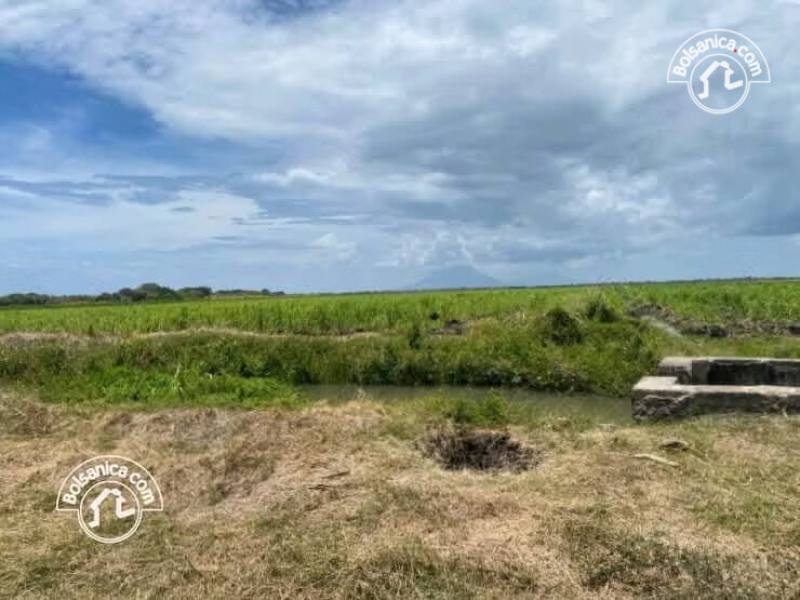 Venta de Finca Caña en Producción 260 Manzanas