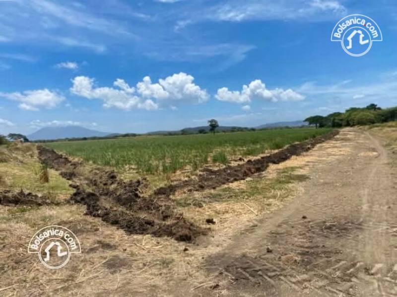Venta de Finca Caña en Producción 260 Manzanas
