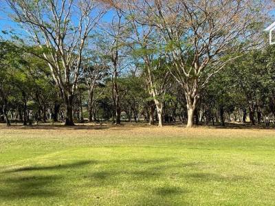 Terreno en venta en Rivas