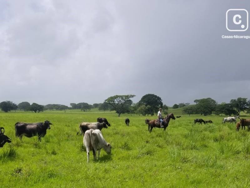 Finca en venta en Matagalpa