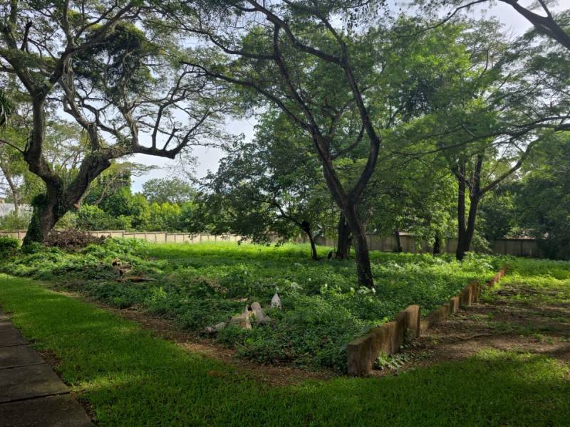 Terreno en venta en Santo Domingo, Managua – US$ 270,000