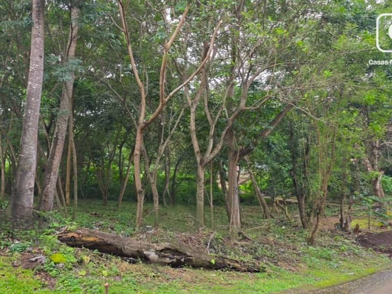 Terreno en venta en Santo Domingo, Managua – US$ 82,800