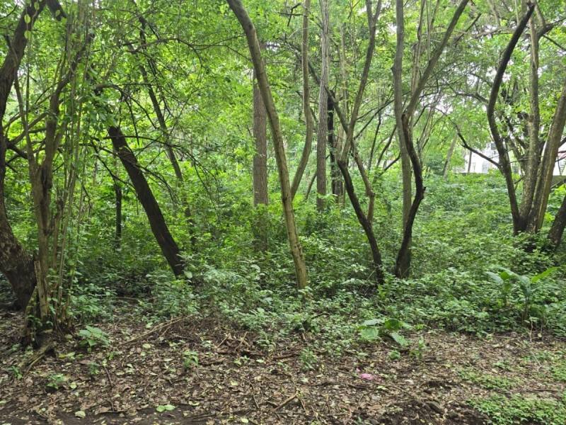 Terreno en venta en Santo Domingo, Managua – US$ 300,000 (Ref 4361)