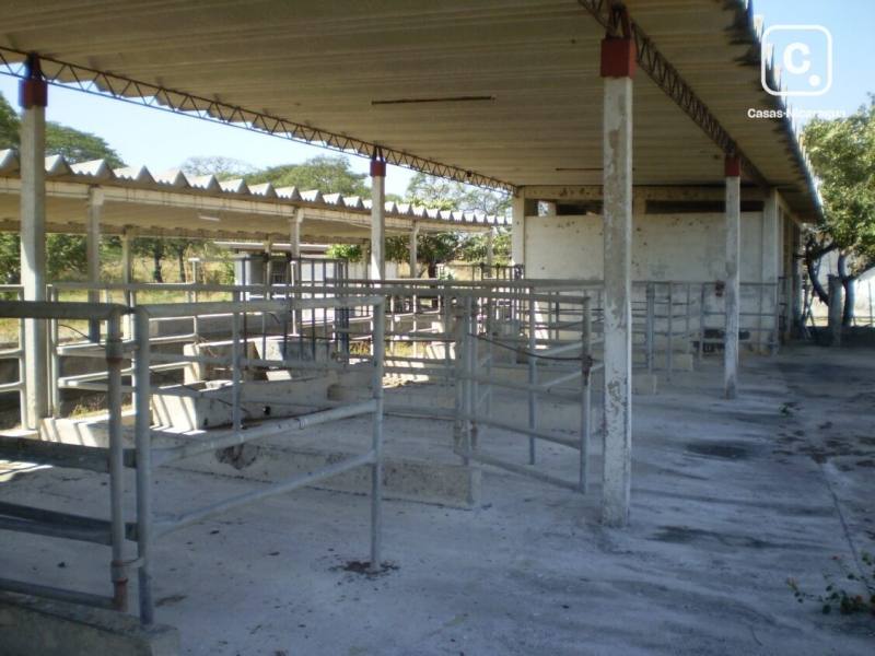 Finca en venta en Carretera Nueva León, Managua – 1,260,000 varas²