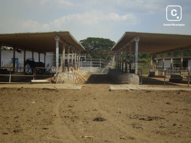 Finca en venta en Carretera Nueva León, Managua – 1,260,000 varas²