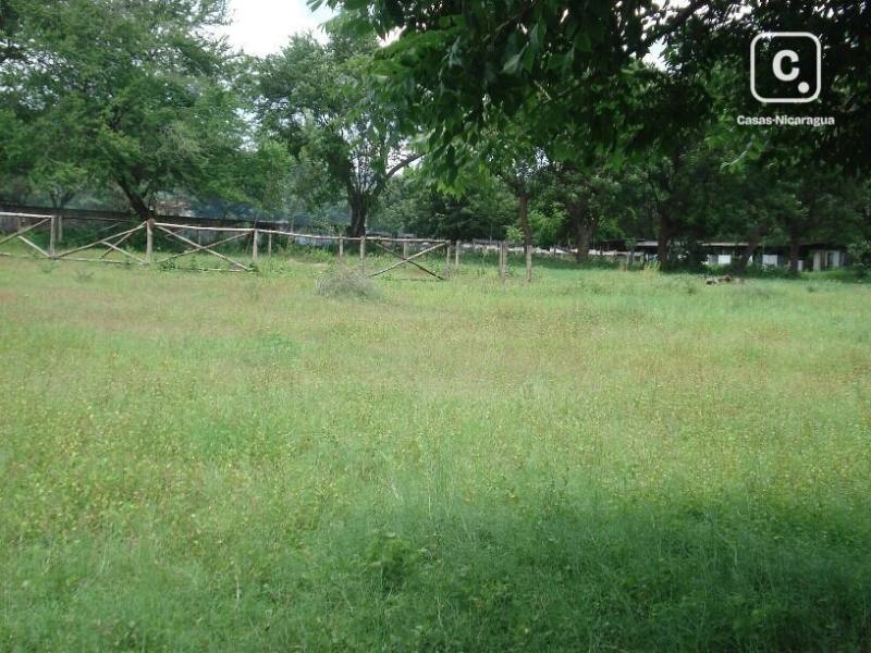 Finca en venta en Carretera Vieja a León, Managua – 3 hab, 28,500 varas²