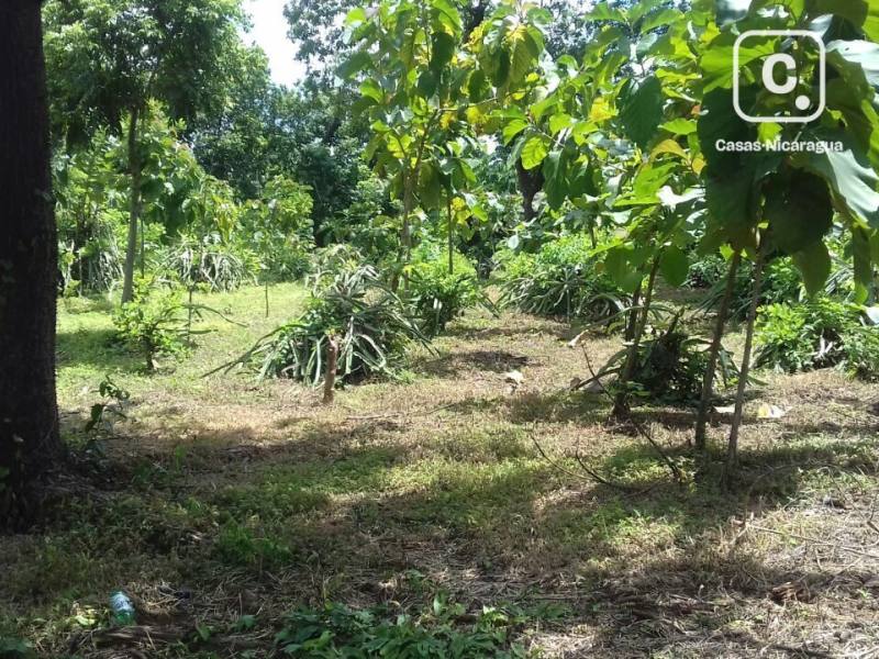 Finca en venta en La Concepción, La Concha – 4 hab, 500 m²