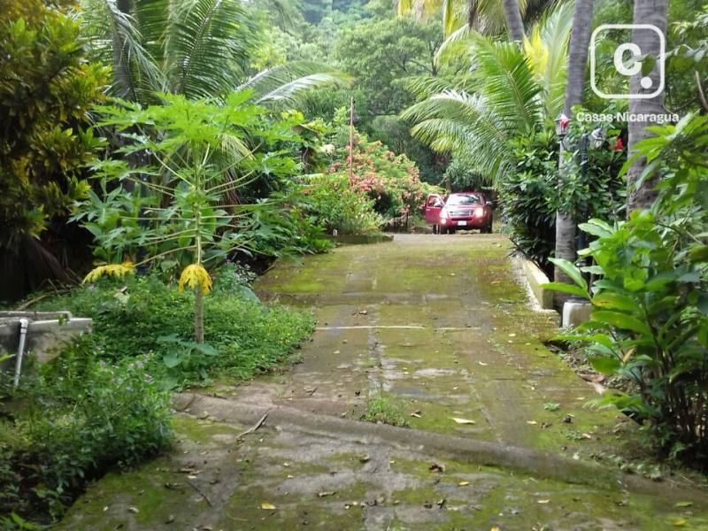 Finca en venta en La Concepción, La Concha – 4 hab, 500 m²