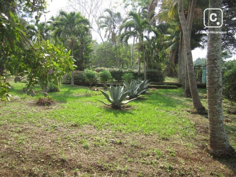 Finca en venta o alquiler en Jinotepe, Carazo – 3 hab, 10,000 varas²