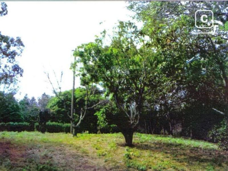 Casa en venta en Carazo – 3 hab, 203 m²