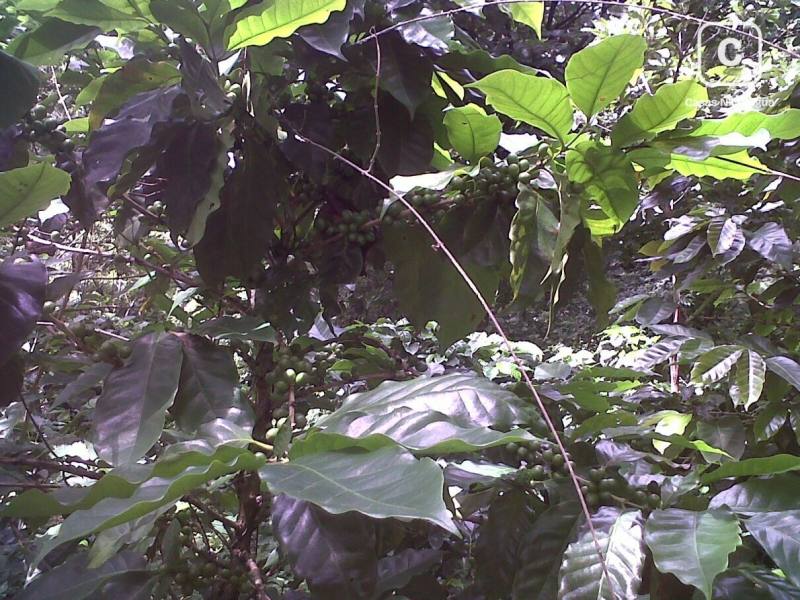 Finca en venta en Carretera Sur, Managua – 140,000 varas²