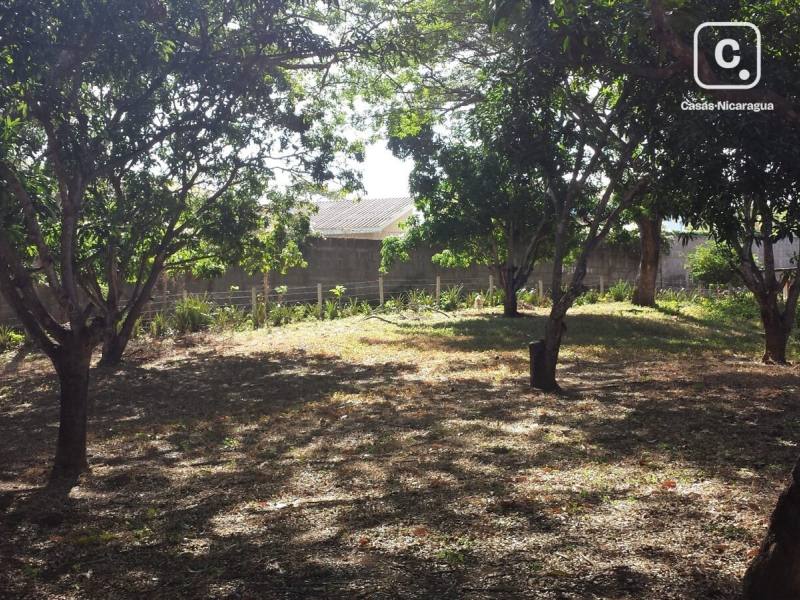 Terreno en venta en Santo Domingo, Managua – 30,000 varas²