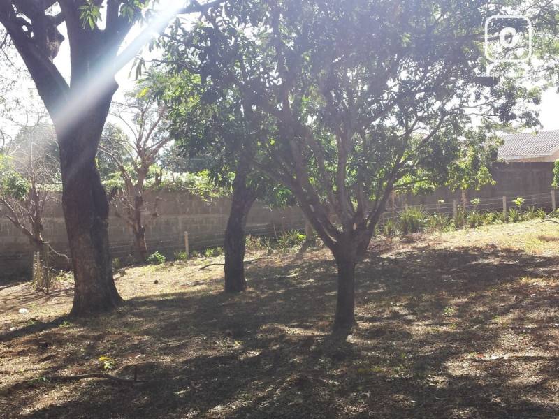 Terreno en venta en Santo Domingo, Managua – 30,000 varas²
