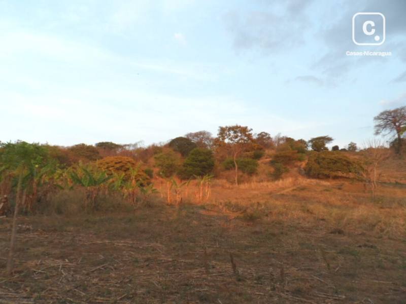 Terreno en venta en Santo Domingo, Managua – 100,000 varas²