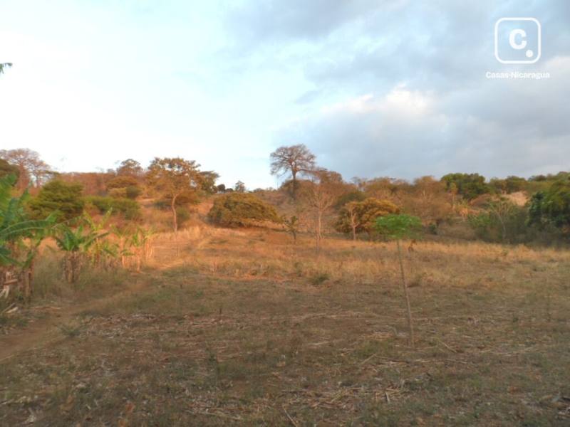Terreno en venta en Santo Domingo, Managua – 100,000 varas²