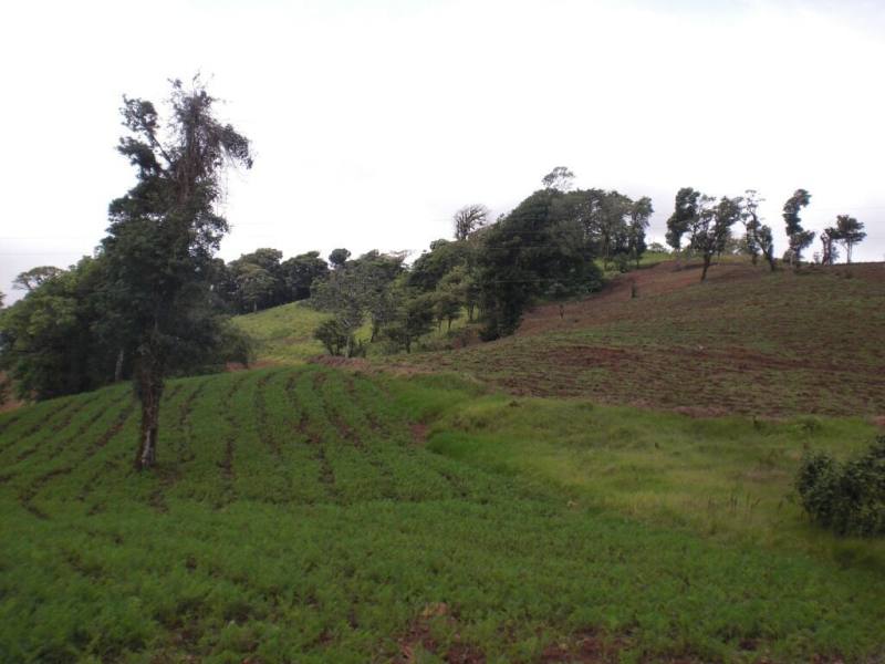 Finca en venta en Matagalpa – 100 manzanas