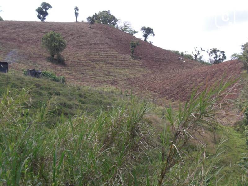 Finca en venta en Matagalpa – 100 varas²