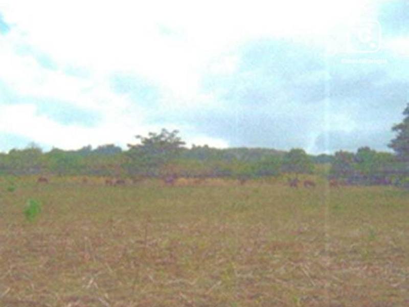 Terreno en venta en Managua – 14,600 varas²