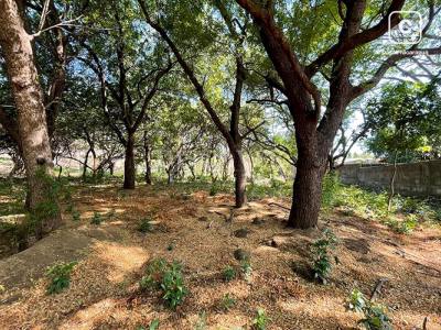 Terreno en venta en Carretera Vieja a León, Managua – 5,604 varas²