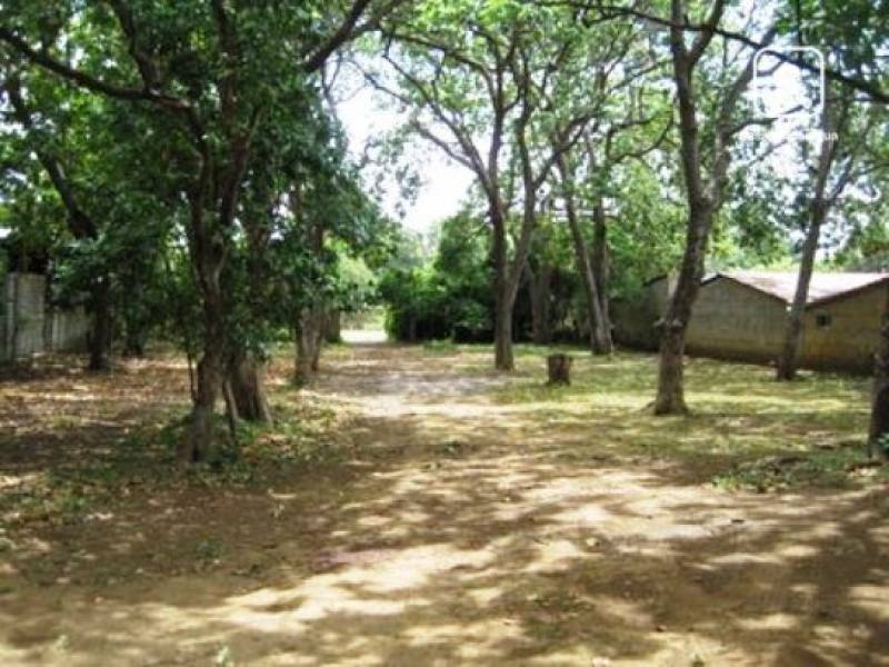 Finca en venta o alquiler en Carretera Masaya, Managua – 3 hab, 190 m²