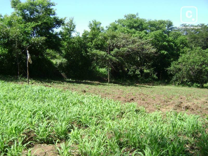 Terreno en venta en Santo Domingo, Managua – 4,900 varas²