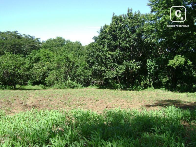 Terreno en venta en Santo Domingo, Managua – 4,900 varas²