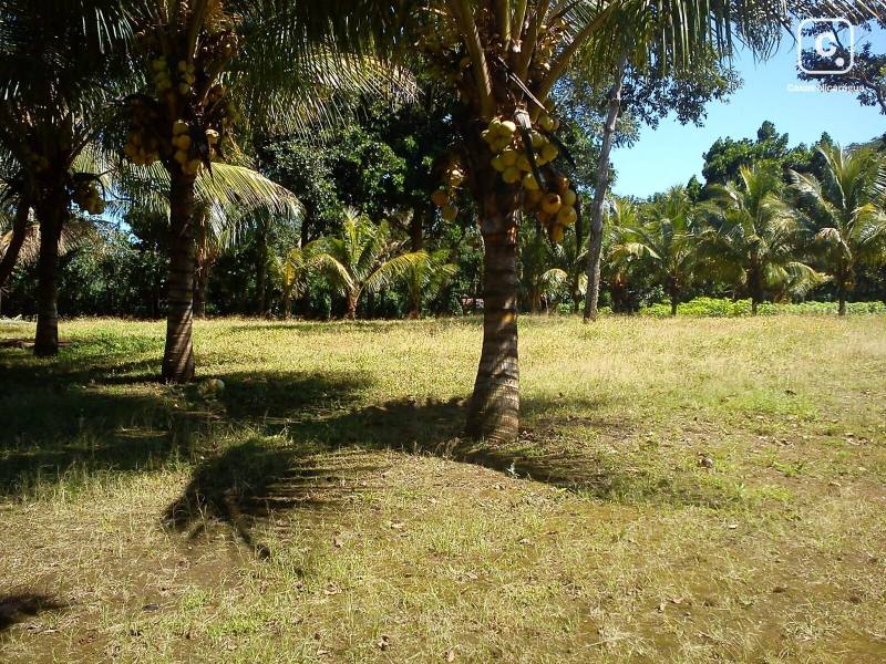 Terreno en venta en Carazo – 20,000 varas²