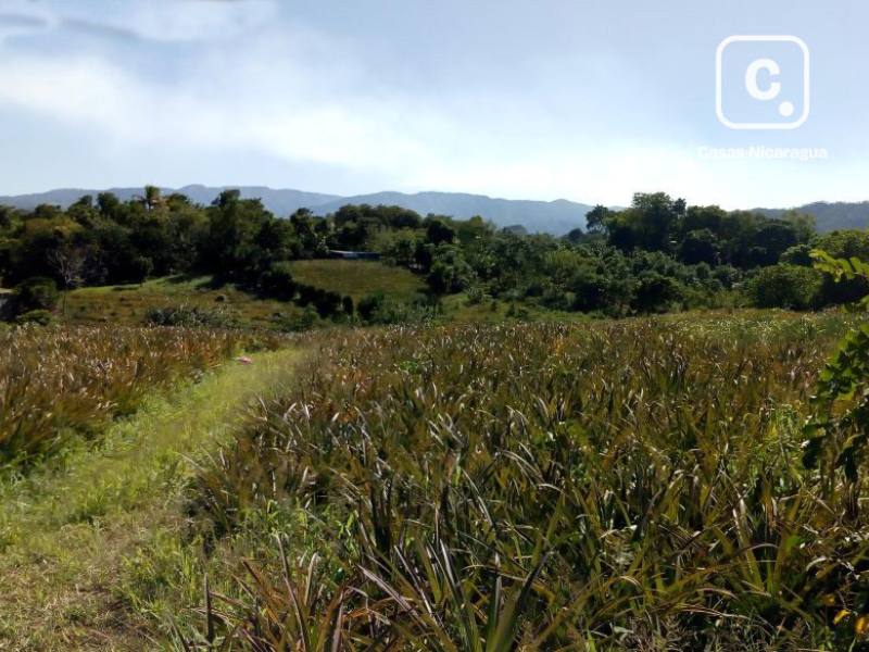 Terreno en venta en Carretera a Ticuantepe, Managua – 3,000 varas²