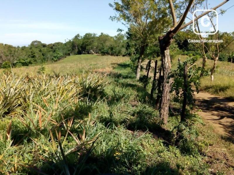 Terreno en venta en Carretera a Ticuantepe, Managua – 3,000 varas²