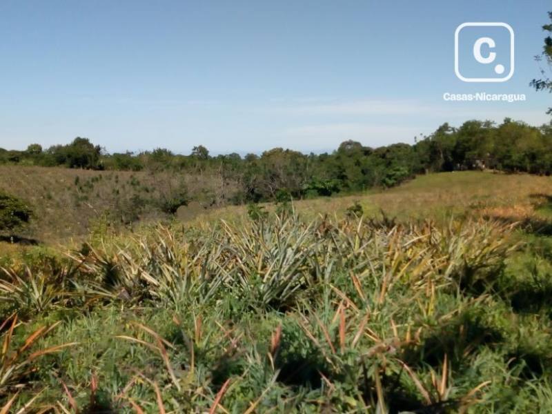 Terreno en venta en Carretera a Ticuantepe, Managua – 3,000 varas²