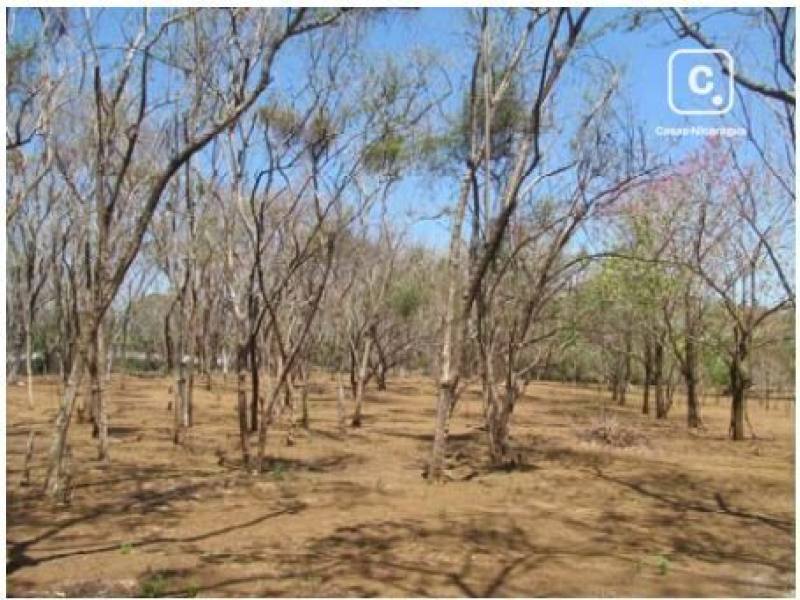 Terreno en venta en Carretera Vieja a León, Managua – 15,931 varas²