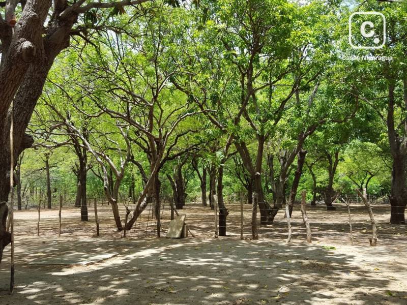 Terreno en venta en Villa el Carmen, Managua – 5,000 varas²