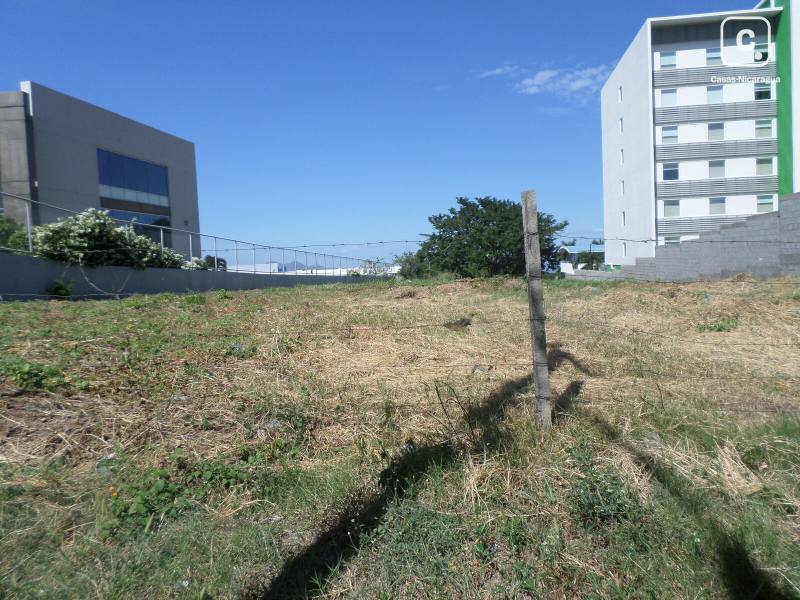Terreno en venta o alquiler en Pista Jean Paul Genie, Managua – 7,720 varas²