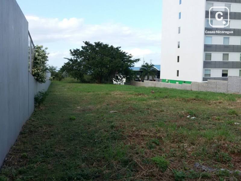 Terreno en venta o alquiler en Pista Jean Paul Genie, Managua – 7,720 varas²
