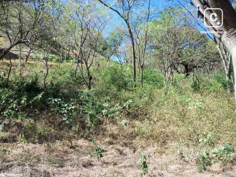 Finca en venta en San Juan del Sur, Rivas – 180,000 varas²