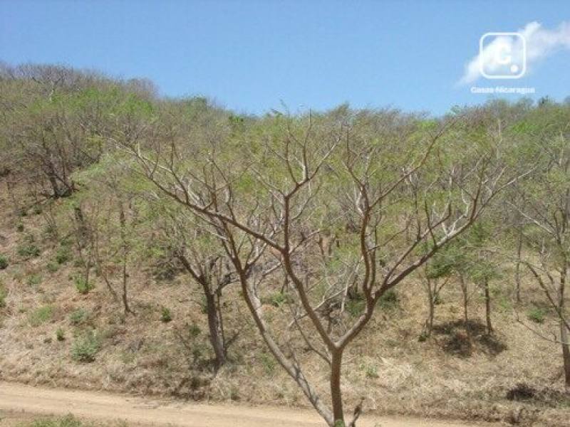Finca en venta en San Juan del Sur, Rivas – 180,000 varas²