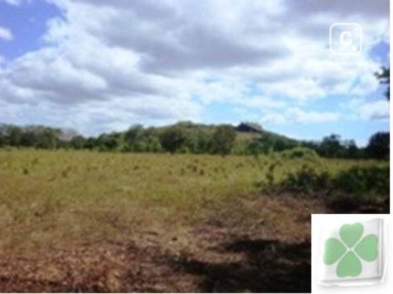 Terreno en venta en Sábana Grande, Managua – 60,000 varas²