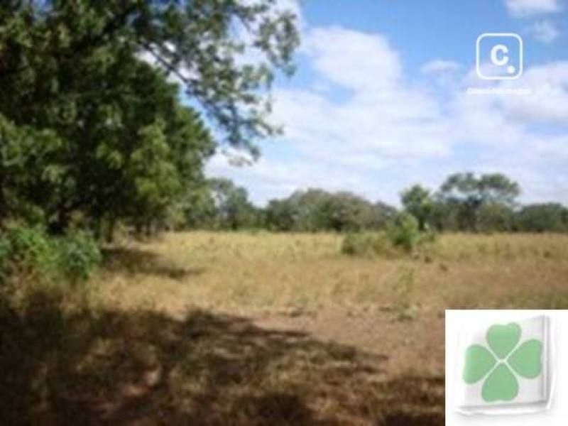 Terreno en venta en Sábana Grande, Managua – 60,000 varas²