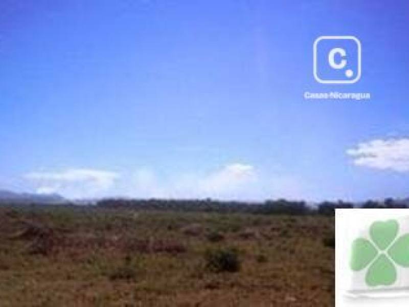 Terreno en venta en Sábana Grande, Managua – 60,000 varas²