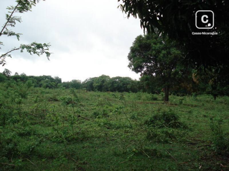Terreno en venta en Carretera Masaya, Managua – 70,000 varas²