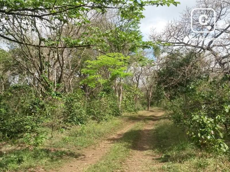 Finca en venta en San Marcos, Carazo – 50,000 varas²