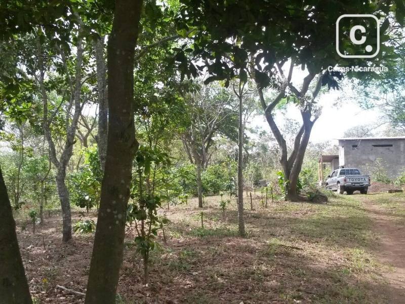 Finca en venta en San Marcos, Carazo – 50,000 varas²