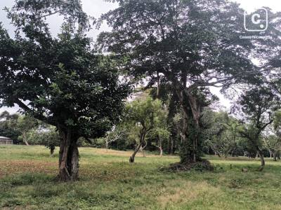 Finca en venta en San Marcos, Carazo – 20,180 varas²